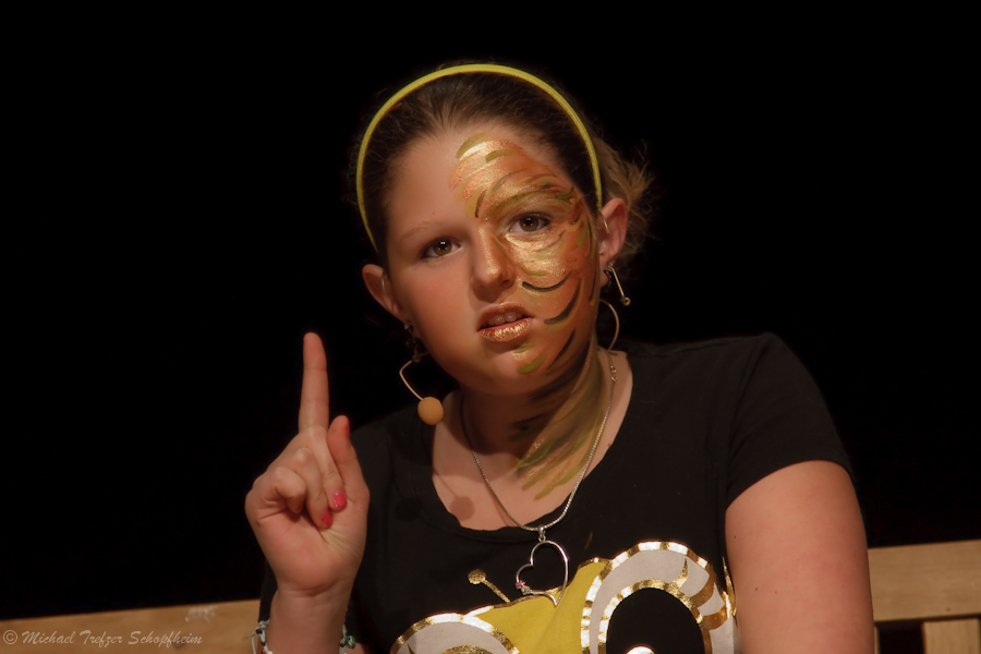 Zunftabend 2009  -1048.jpg